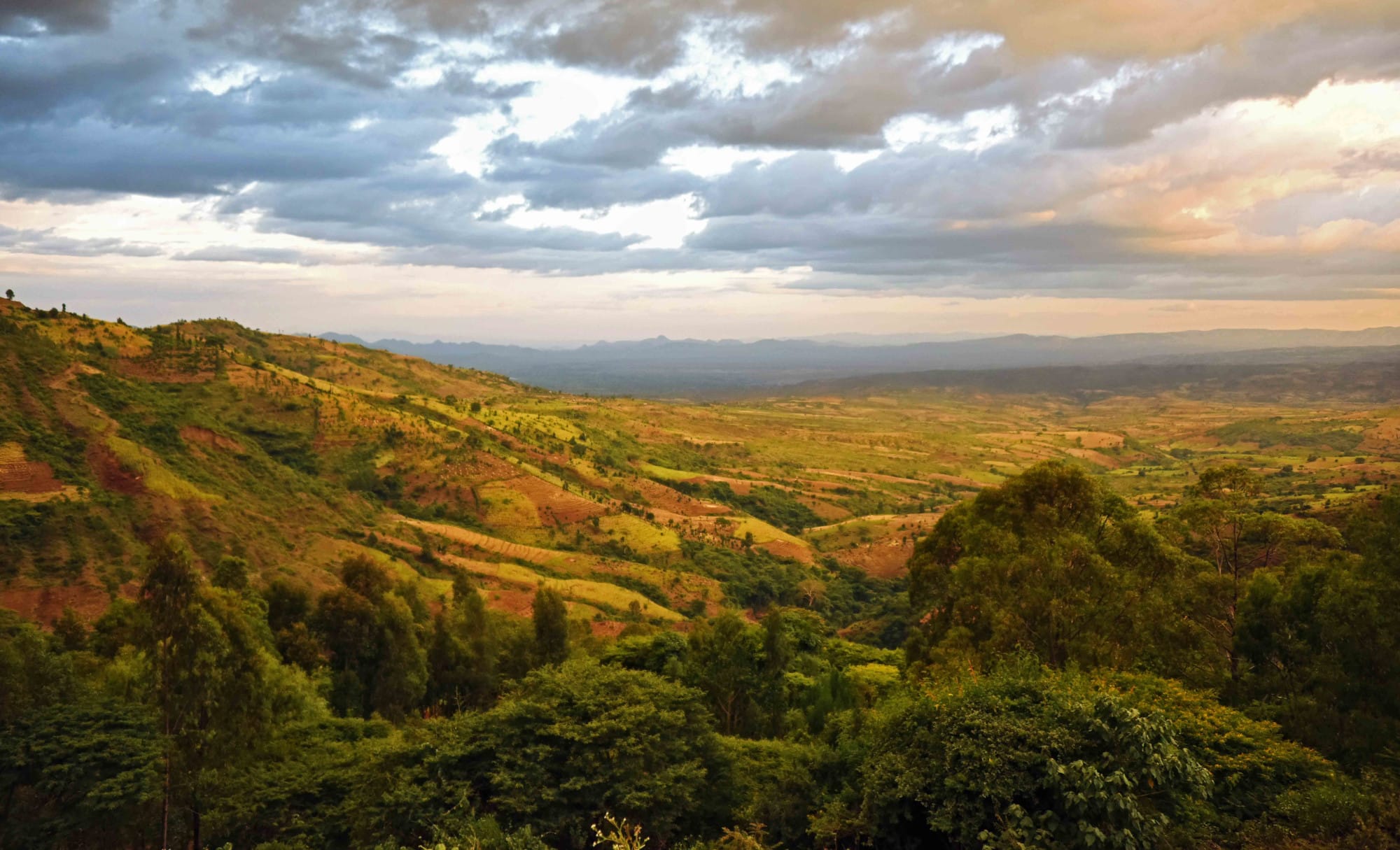 Empowering Sub-Saharan Farmers Through Precision Weather Forecasting