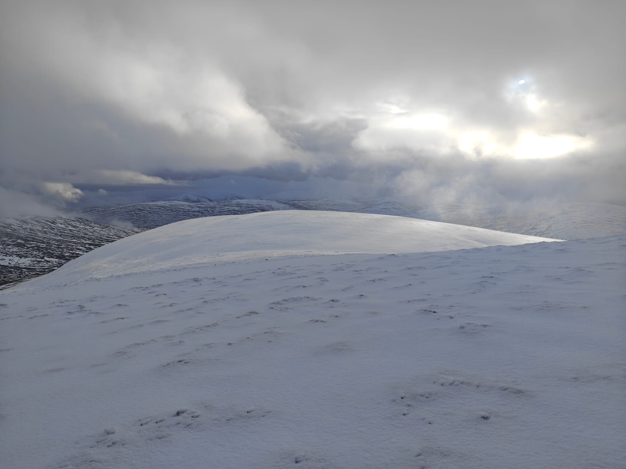 Blogging from My Phone